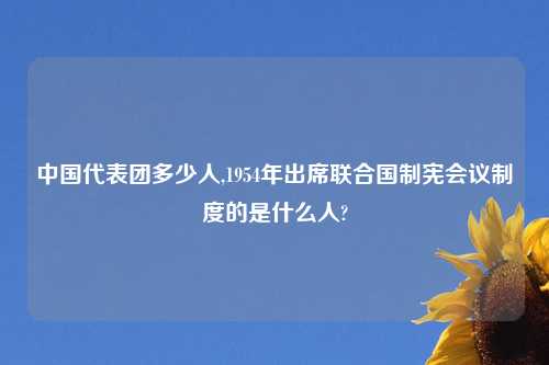 中国代表团多少人,1954年出席联合国制宪会议制度的是什么人?