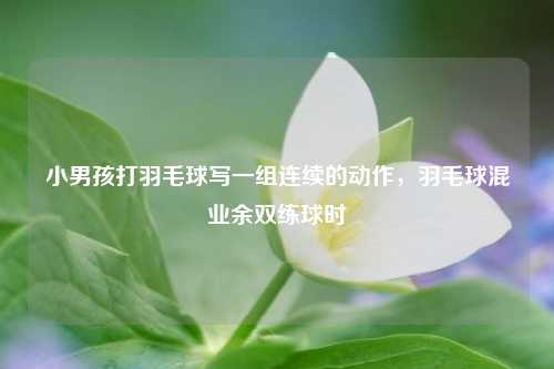 小男孩打羽毛球写一组连续的动作，羽毛球混业余双练球时