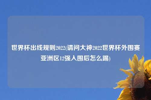 世界杯出线规则2022(请问大神2022世界杯外围赛亚洲区12强入围后怎么踢)