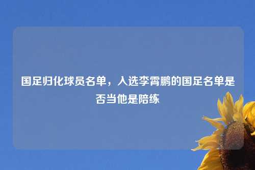 国足归化球员名单，入选李霄鹏的国足名单是否当他是陪练