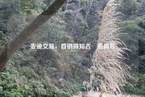 麦迪交易，首钢得知吉喆患病后