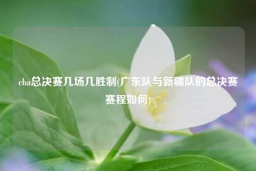 cba总决赛几场几胜制(广东队与新疆队的总决赛赛程如何)