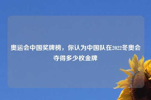 奥运会中国奖牌榜，你认为中国队在2022冬奥会夺得多少枚金牌