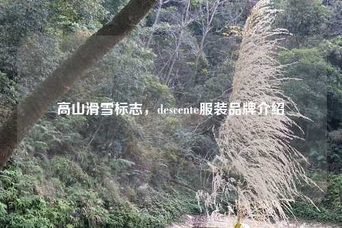 高山滑雪标志，descente服装品牌介绍