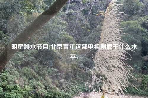 明星跳水节目(北京青年这部电视剧属于什么水平)