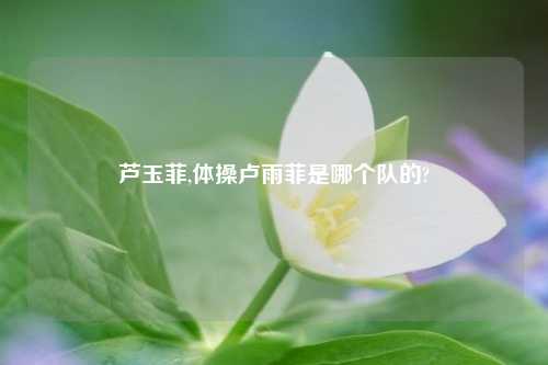 芦玉菲,体操卢雨菲是哪个队的?