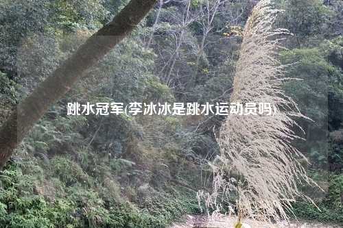 跳水冠军(李冰冰是跳水运动员吗)