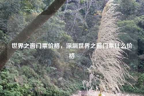 世界之窗门票价格，深圳世界之窗门票什么价格