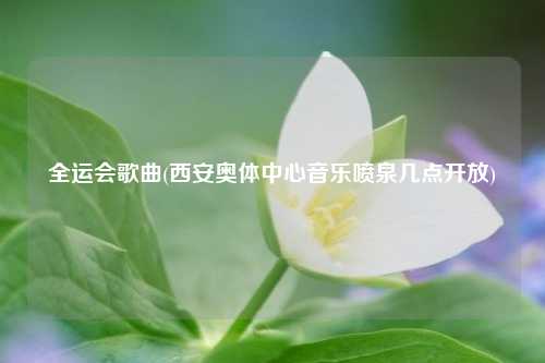 全运会歌曲(西安奥体中心音乐喷泉几点开放)