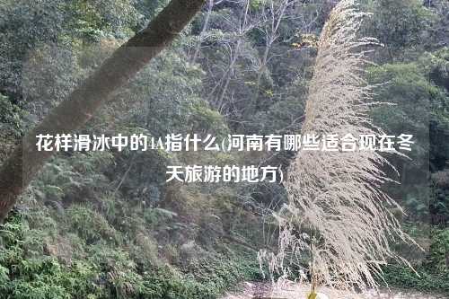 花样滑冰中的4A指什么(河南有哪些适合现在冬天旅游的地方)