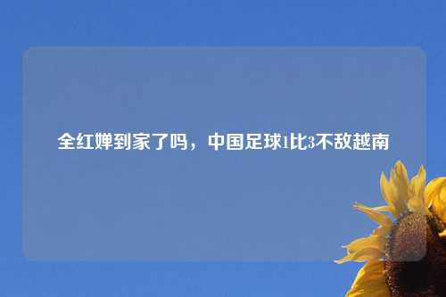 全红婵到家了吗，中国足球1比3不敌越南