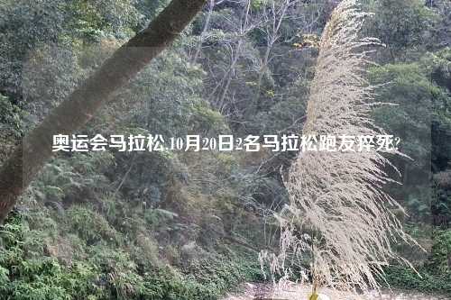 奥运会马拉松,10月20日2名马拉松跑友猝死?