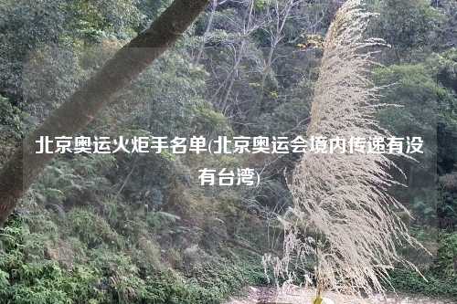 北京奥运火炬手名单(北京奥运会境内传递有没有台湾)