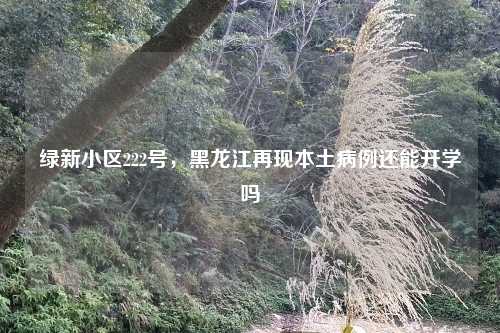 绿新小区222号，黑龙江再现本土病例还能开学吗