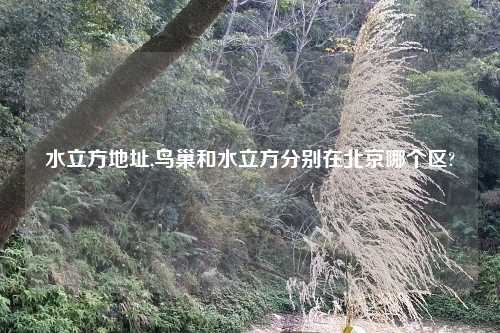 水立方地址,鸟巢和水立方分别在北京哪个区?