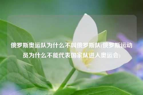 俄罗斯奥运队为什么不叫俄罗斯队(俄罗斯运动员为什么不能代表国家队进入奥运会)