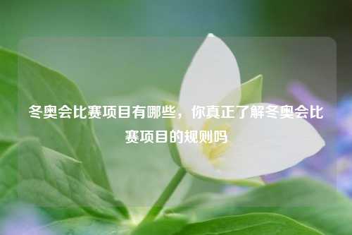 冬奥会比赛项目有哪些，你真正了解冬奥会比赛项目的规则吗