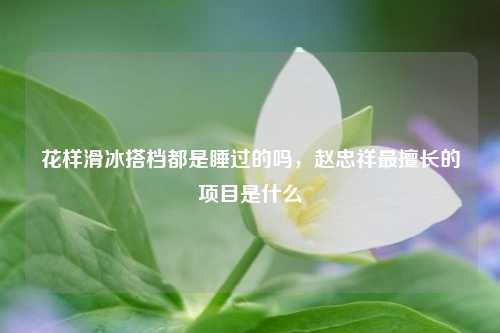 花样滑冰搭档都是睡过的吗，赵忠祥最擅长的项目是什么