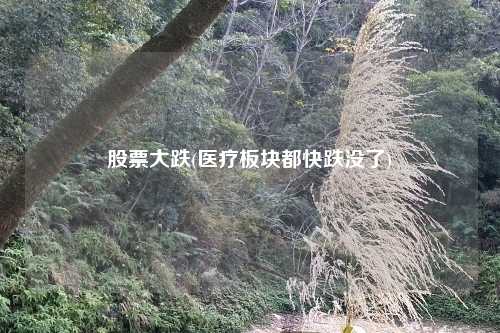 股票大跌(医疗板块都快跌没了)