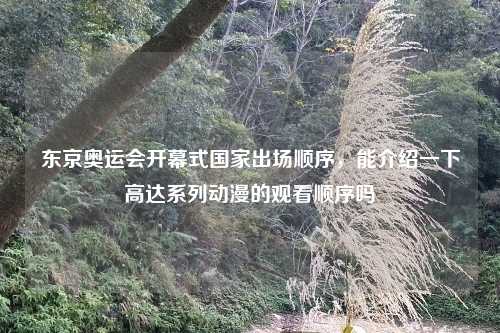 东京奥运会开幕式国家出场顺序，能介绍一下高达系列动漫的观看顺序吗