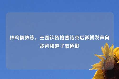 林昀儒教练，王楚钦资格赛结束后微博发声向裁判和赵子豪道歉