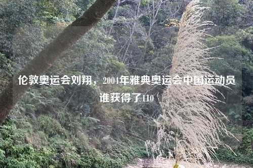 伦敦奥运会刘翔，2004年雅典奥运会中国运动员谁获得了110