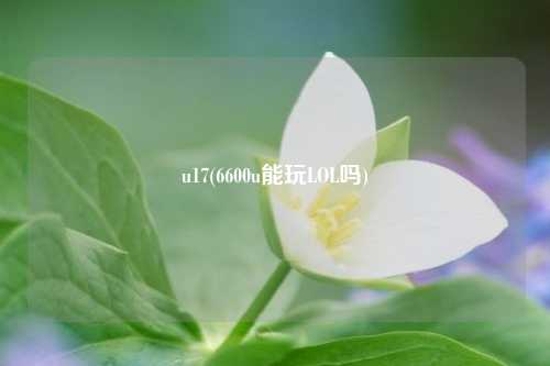 u17(6600u能玩LOL吗)