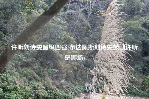 许昕刘诗雯晋级四强(布达佩斯刘诗雯鼓励许昕是哪场)