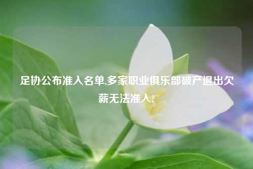 足协公布准入名单,多家职业俱乐部破产退出欠薪无法准入?