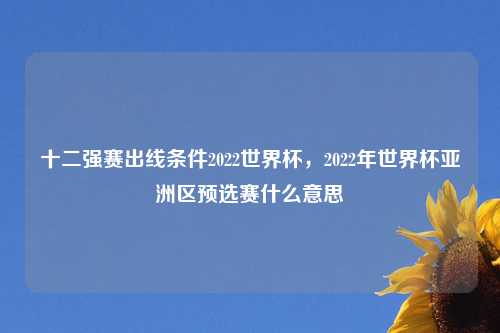 十二强赛出线条件2022世界杯，2022年世界杯亚洲区预选赛什么意思