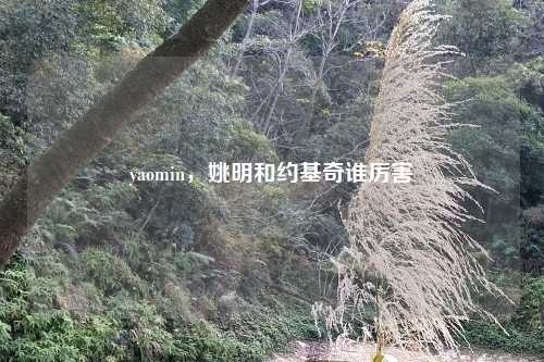 yaomin，姚明和约基奇谁厉害