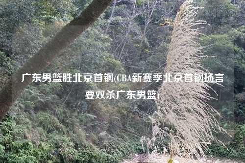 广东男篮胜北京首钢(CBA新赛季北京首钢扬言要双杀广东男篮)