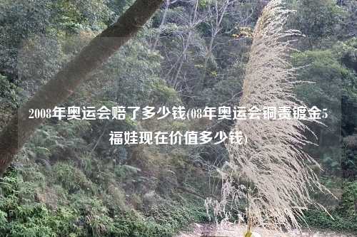 2008年奥运会赔了多少钱(08年奥运会铜责镀金5福娃现在价值多少钱)