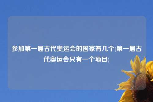 参加第一届古代奥运会的国家有几个(第一届古代奥运会只有一个项目)