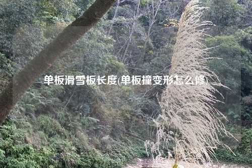 单板滑雪板长度(单板撞变形怎么修)