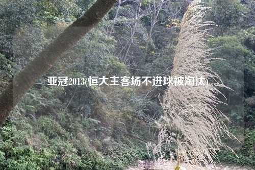 亚冠2013(恒大主客场不进球被淘汰)