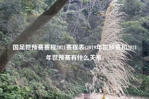 国足世预赛赛程2021赛程表(2019年世预赛和2021年世预赛有什么关系)