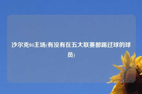 沙尔克04主场(有没有在五大联赛都踢过球的球员)