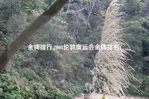 金牌排行,2008伦敦奥运会金牌排名?