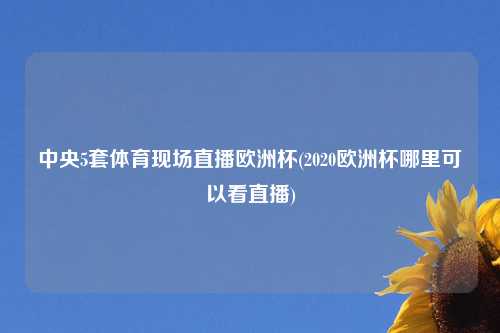 中央5套体育现场直播欧洲杯(2020欧洲杯哪里可以看直播)