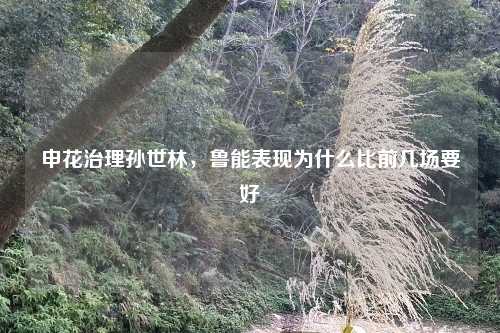 申花治理孙世林，鲁能表现为什么比前几场要好