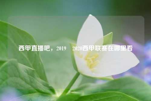 西甲直播吧，2019–2020西甲联赛在哪里看