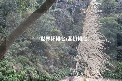 2006世界杯排名(客机排名)