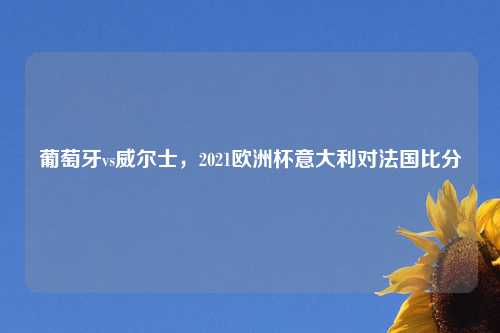 葡萄牙vs威尔士，2021欧洲杯意大利对法国比分