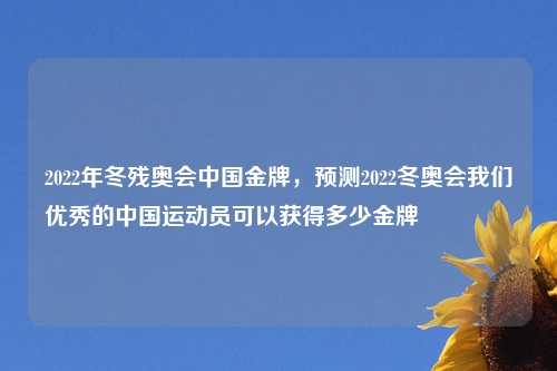 2022年冬残奥会中国金牌，预测2022冬奥会我们优秀的中国运动员可以获得多少金牌🏅️