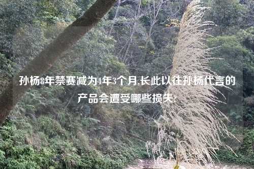 孙杨8年禁赛减为4年3个月,长此以往孙杨代言的产品会遭受哪些损失?