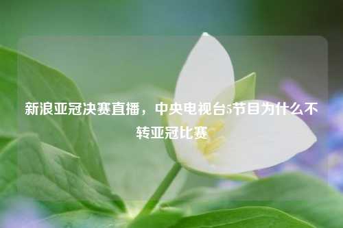 新浪亚冠决赛直播，中央电视台5节目为什么不转亚冠比赛