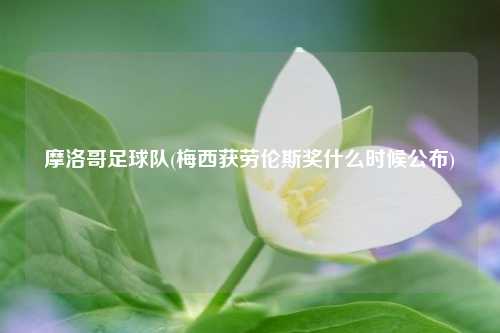 摩洛哥足球队(梅西获劳伦斯奖什么时候公布)