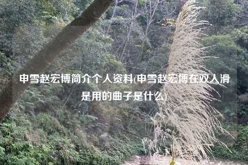 申雪赵宏博简介个人资料(申雪赵宏博在双人滑是用的曲子是什么)