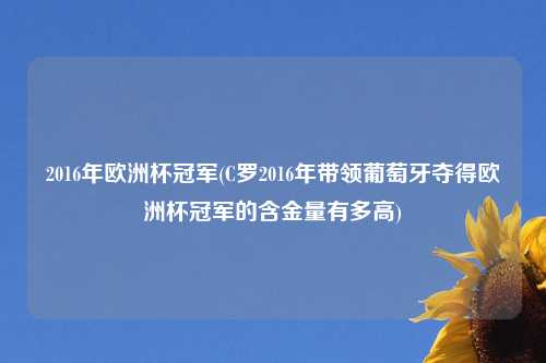 2016年欧洲杯冠军(C罗2016年带领葡萄牙夺得欧洲杯冠军的含金量有多高)